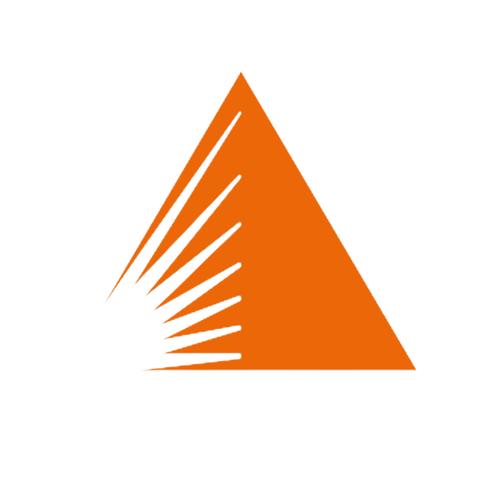 ООО «Меркатор Холдинг»